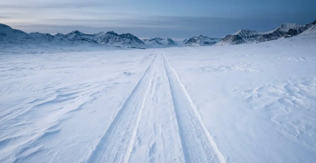 Paysage hivernal minimaliste avec traces de fatbike dans neige vierge